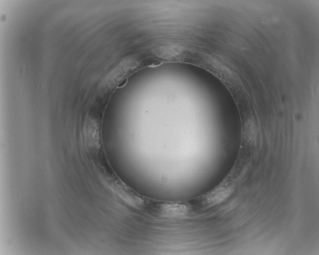 X0000073460234200608041100