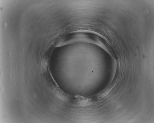 X0000073460235200608041100