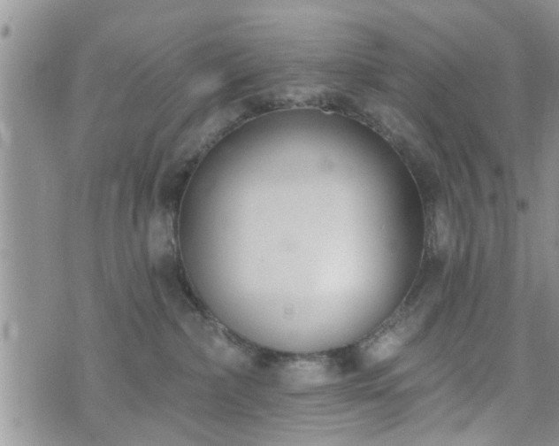 X0000073460236200608041100