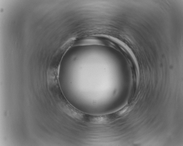 X0000073460237200608041100