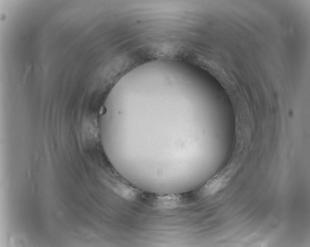 X0000073460240200608041100