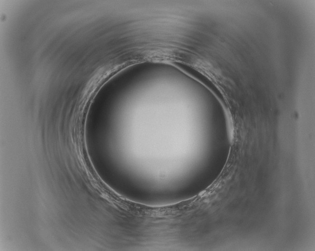 X0000073460241200608041100