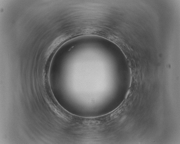 X0000073460242200608041100