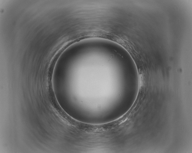 X0000073460243200608041100