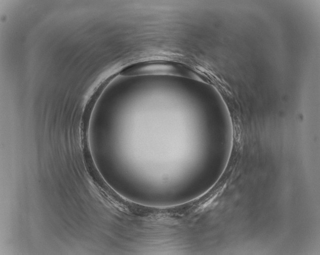 X0000073460244200608041100