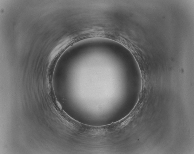 X0000073460245200608041100