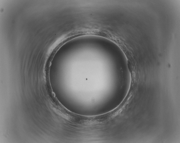 X0000073460246200608041100