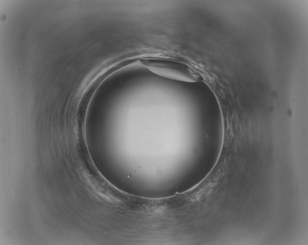 X0000073460247200608041100