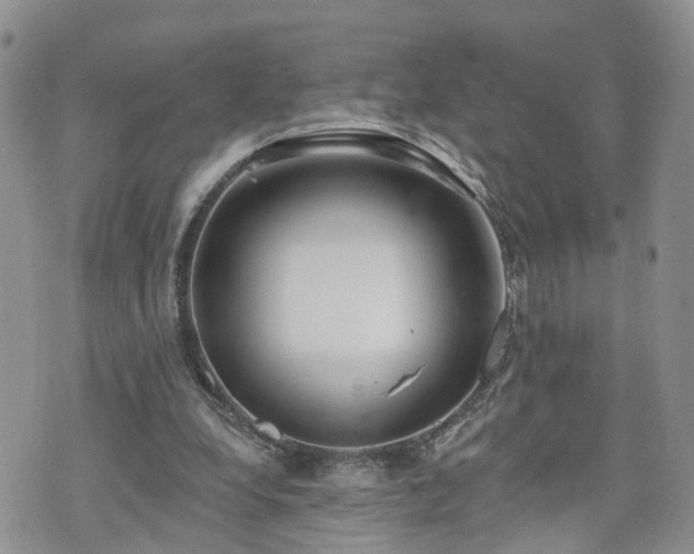 X0000073460248200608041100