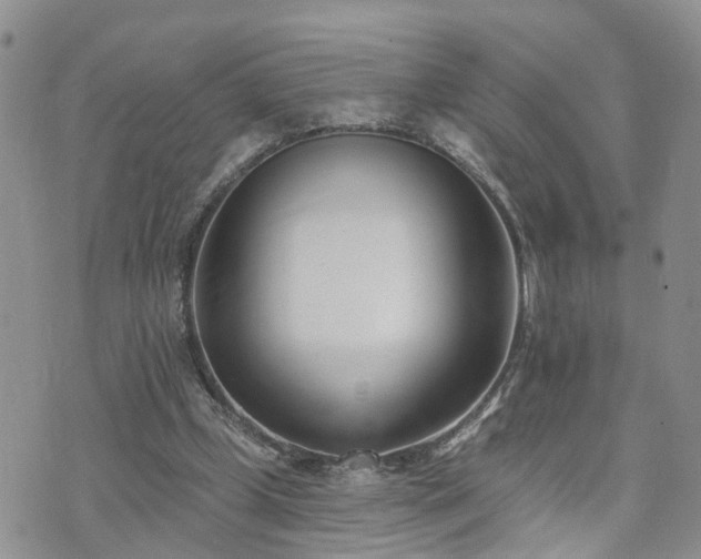 X0000073460249200608041100