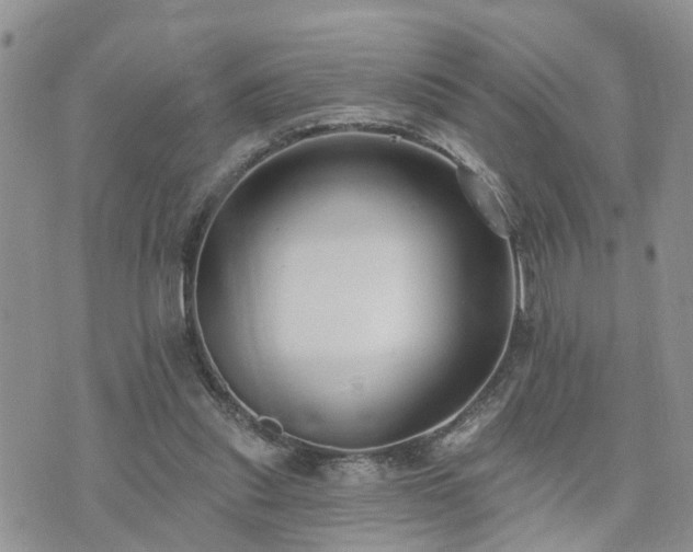 X0000073460253200608041100