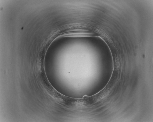 X0000073460255200608041100