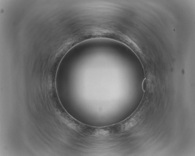 X0000073460257200608041100