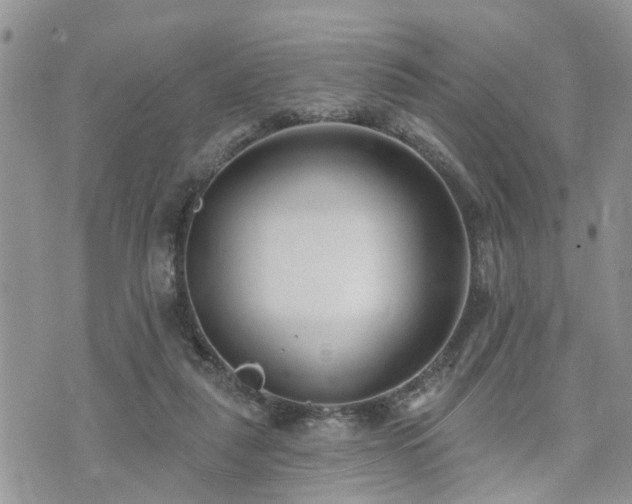 X0000073460259200608041100