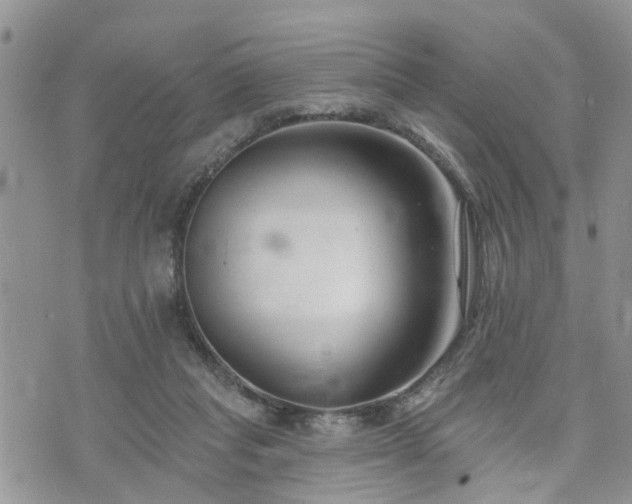 X0000073460261200608041100