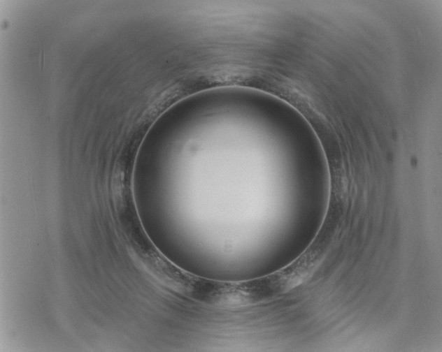 X0000073460263200608041100