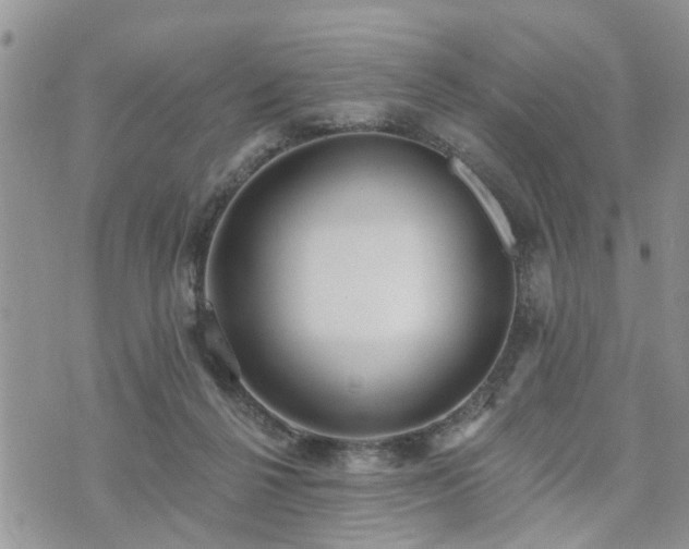 X0000073460264200608041100