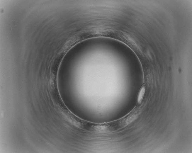 X0000073460265200608041100