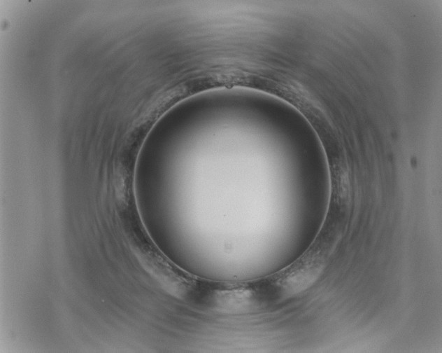 X0000073460266200608041100