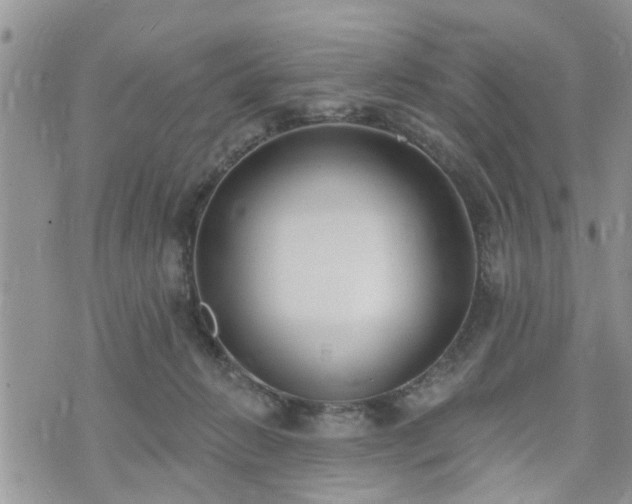 X0000073460270200608041100