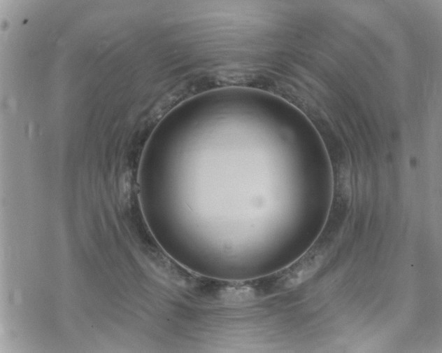 X0000073460271200608041100