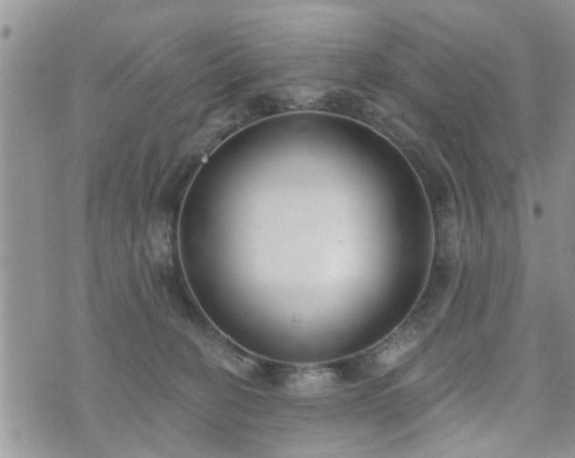 X0000073460274200608041100