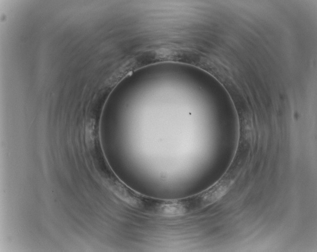 X0000073460275200608041100