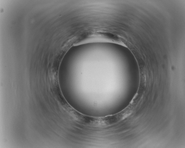 X0000073460276200608041100