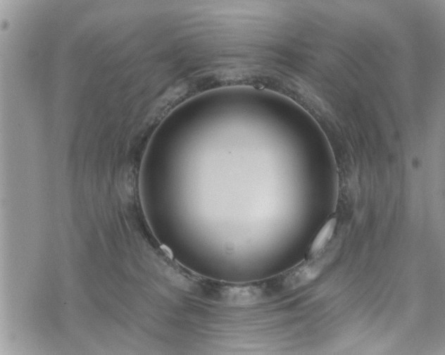 X0000073460277200608041100