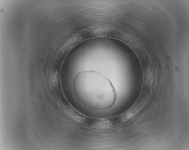 X0000073460278200608041100