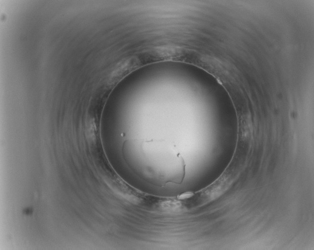 X0000073460279200608041100