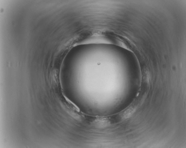 X0000073460280200608041100