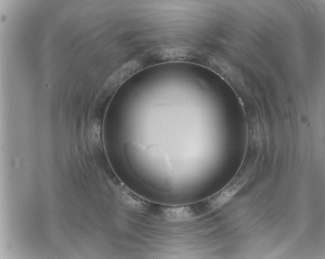 X0000073460281200608041100