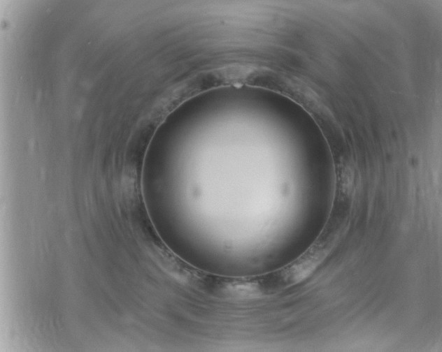 X0000073460283200608041100