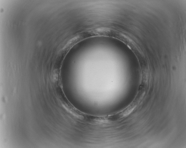 X0000073460284200608041100