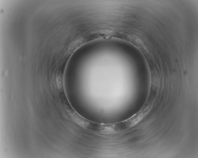 X0000073460285200608041100