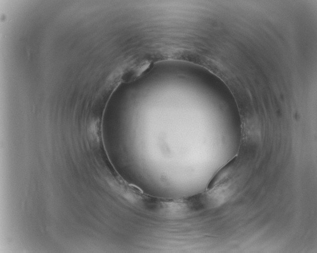 X0000073460286200608041100