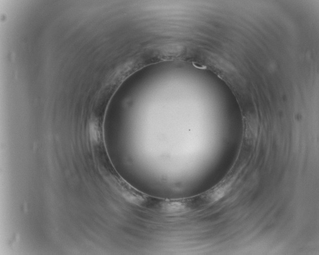 X0000073460287200608041100