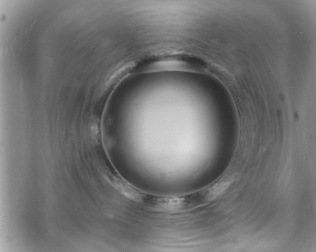 X0000073460288200608041100