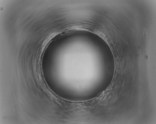 X0000073460289200608041100