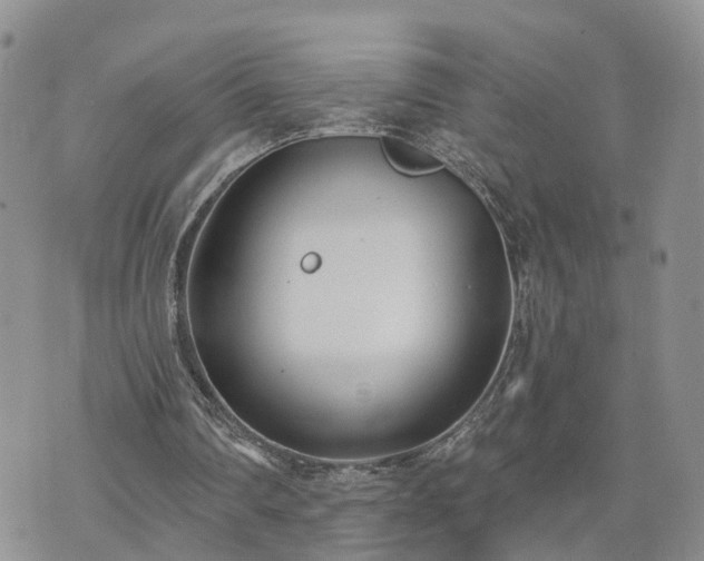 X0000073460290200608041100