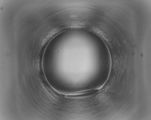 X0000073460299200608041059