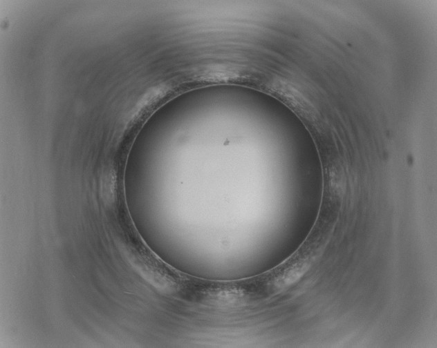 X0000073460304200608041059