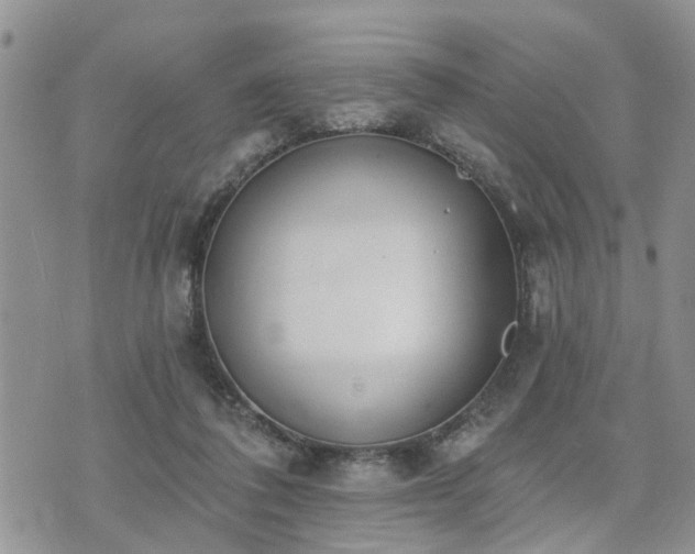 X0000073460308200608041059