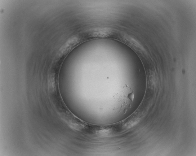 X0000073460312200608041059