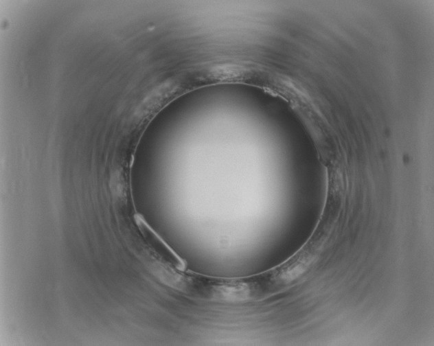 X0000073460317200608041059