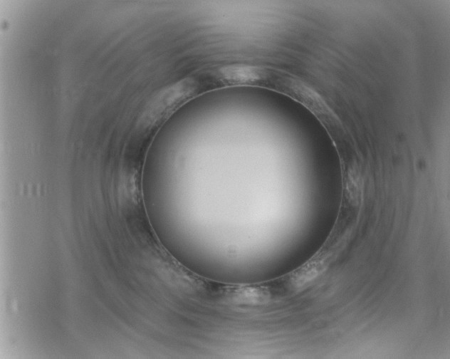 X0000073460330200608041059