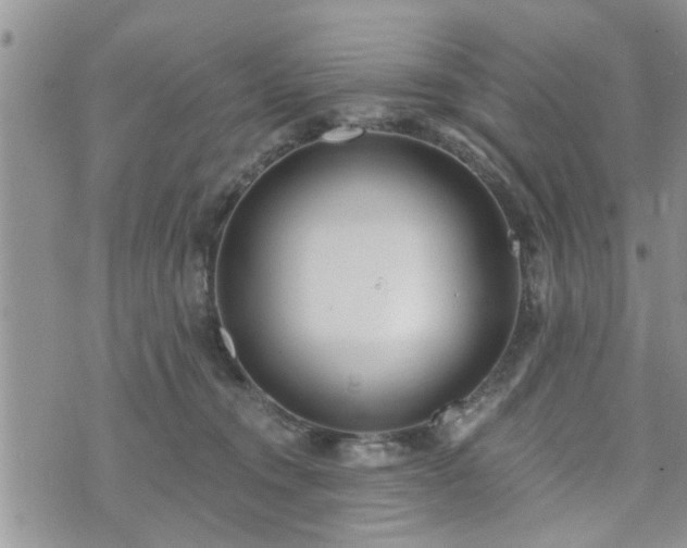 X0000073460372200608041059