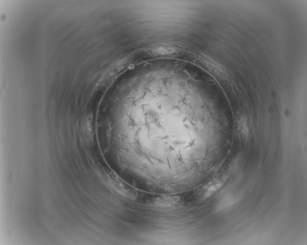 X0000073460373200608041059