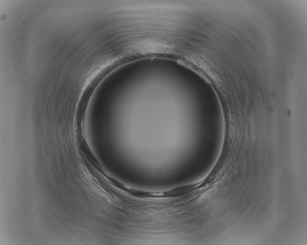 X0000073460391200608041058